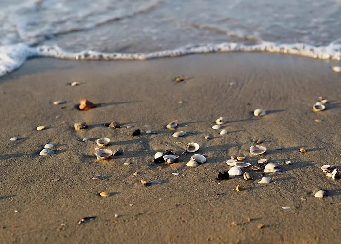 Apartment Enchanting With Panoramic Terrace Bibione